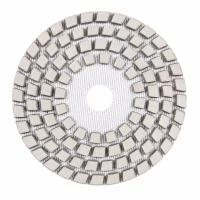 Круги алмазные полировальные Круг 100x3x15 CleanPad #0