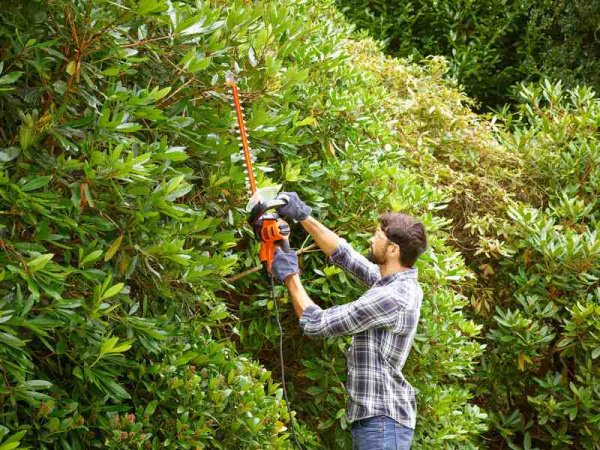 Кущоріз електричний BLACK+DECKER BEHTS401