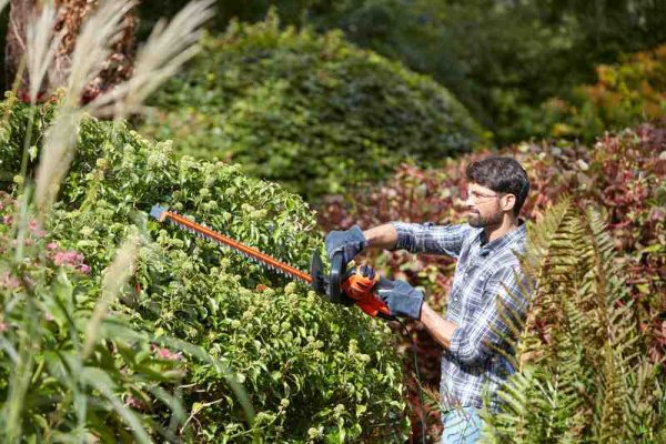 Кущоріз електричний BLACK+DECKER BEHTS401